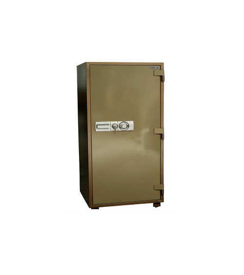 Safeguard DS 170
